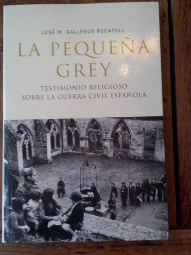 La Pequeña Grey Jose M Gallego Rocafull