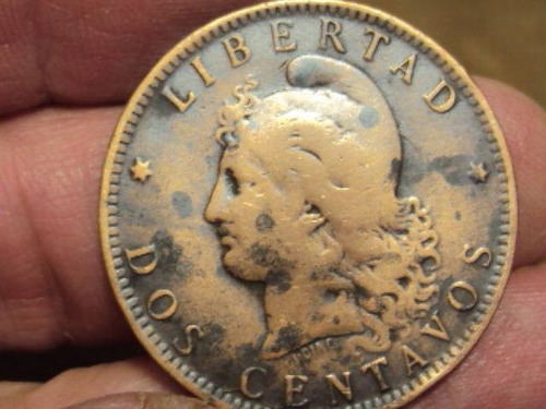 Moneda Argentina 2 Centavos 1891 Ref (a 81) (Usado)
