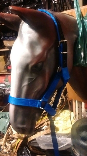 Oferta Bozal Y Cabresto Para Caballo Talabarteria El Moro Mercado Libre Oferta Bozal Y Cabresto Para Caballo Talabarteria El Moro Mercado Libre
