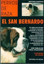 Comprar El San Bernardo - Perros De Raza - Giovanni Morsiani