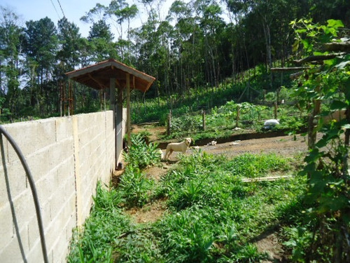 Imagem 2 de 11 de Chacara Para Moradia R$ 210.000 Ref. 992