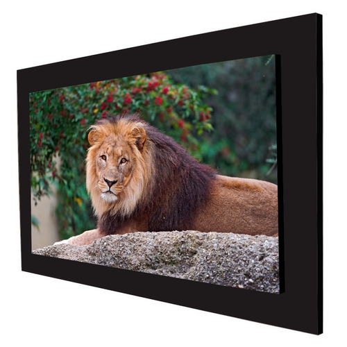 Cuadro 60x40cms Decorativo Leon 4!!!+envío Gratis