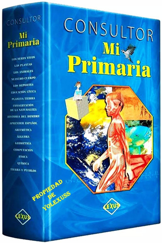 Libro Consultor Mi Primaria Original