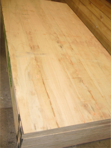 Imagen 5 de 7 de Placa Fenolico Grandis Industrial 18mm 1,22 X 2,44- Maderwil