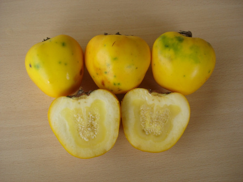 Imagem 4 de 10 de 50 Sementes Fruta Amazônica Mana Cubiú Solanum Sessiliflorum