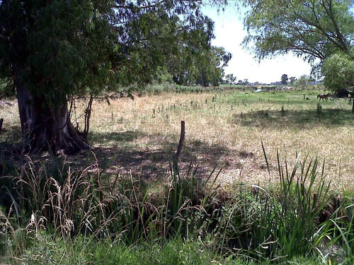 Imagen 2 de 12 de Campo 5000 Metros En Henderson Cerca Del Pueblo C/escritura