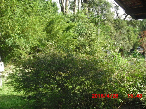 Imagem 4 de 15 de Chácara Bairro Cachoeira 30.000m2 | 45440 - 45440