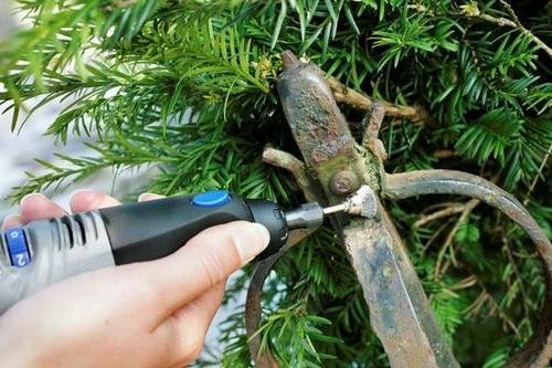 Cepillo De Acero De Carbon Dremel 442 + Regalo