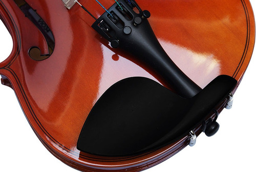 Violin Profesional Tamaño 4/4 Con Alma Y Accesorios Regalos