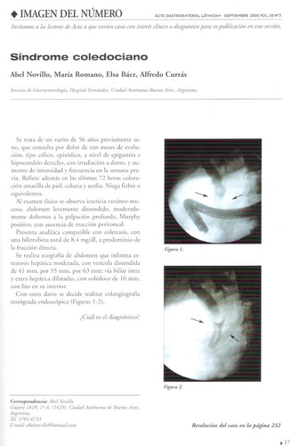 Gastroenterologia - Acta Gastroenterologica Latinoamericana