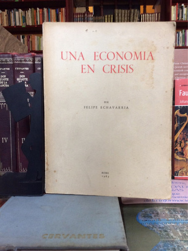 Un Economía En Crisis, Felipe Echavarria