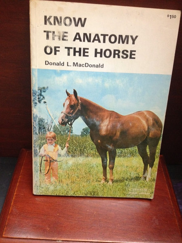 Know The Anatomy Of The Horse