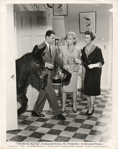 Foto The Brass Bottle Tony Randall Burt Ives Barbara Eden 63