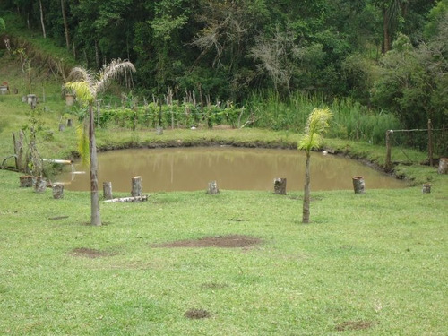 Imagem 4 de 15 de Sitio No Bairro Vargem Do Salto | 47733 - 47733