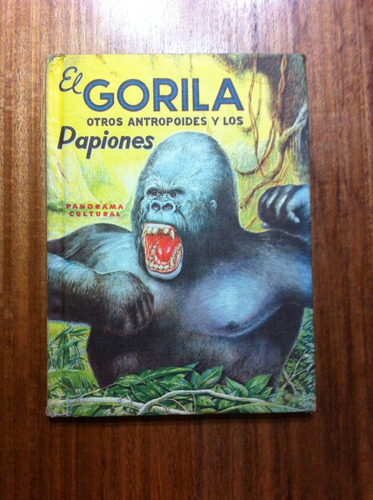 El Gorila Antropoides Ilustrado - Antiguo Año 1962