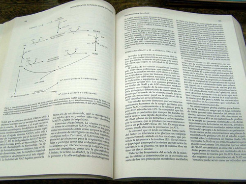 Imagen 4 de 6 de Conocimientos Actuales Sobre Nutricion * Varios Autores *