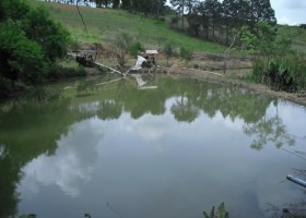 Imagem 11 de 15 de Pousada Em Ibiúna A 11km Do Centro Da Cidade | 6036 - 6036