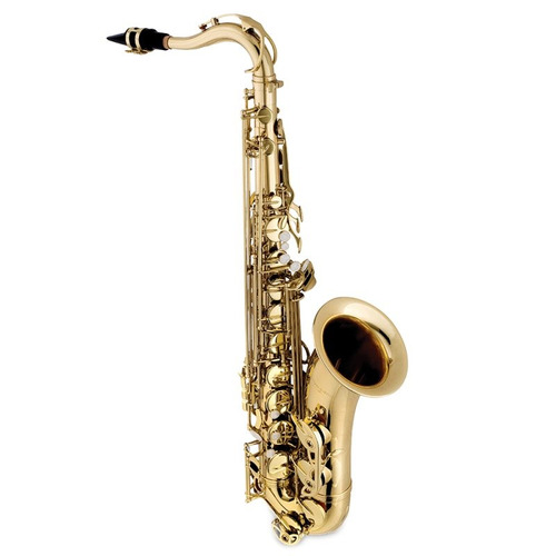 Saxofone Tenor Vogga Vsts701 Com Acabamento Laqueado E Acom