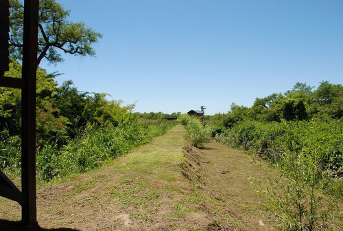 Imagen 5 de 8 de Lote 12.000 M2. En Isla Del Tigre Urge Venta- Oportunidad!