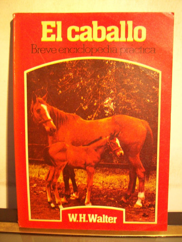 Adp El Caballo Breve Enciclopedia Practica Walter / 1982