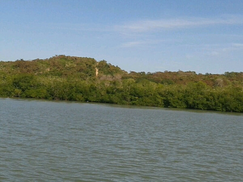 Imagen 7 de 8 de Terreno Con Playa Y Laguna 9 Hectáreas
