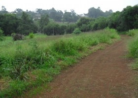 Imagem 13 de 14 de Terreno | 6382 - 6382