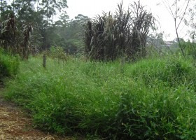 Imagem 1 de 14 de Terreno | 6382 - 6382