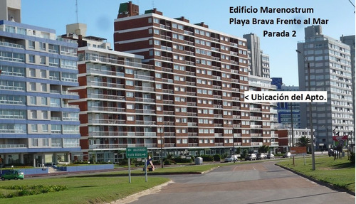 Imagen 2 de 14 de Frente Al Mar Playa Brava Vista Espectacular! 2 Amb