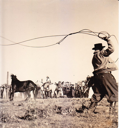 Foto Gaucho Campo Argentino Jinete