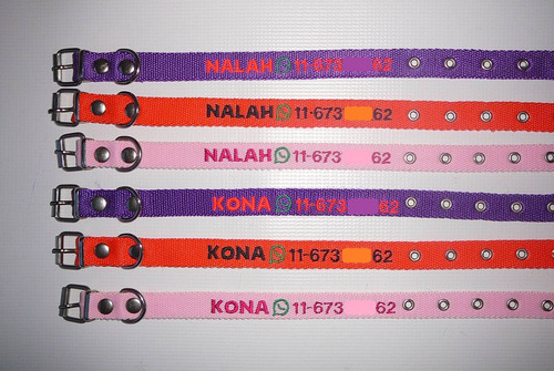 Imagen 2 de 8 de Collar Bordado Personalizado En 2 Cm De Ancho Pet Id