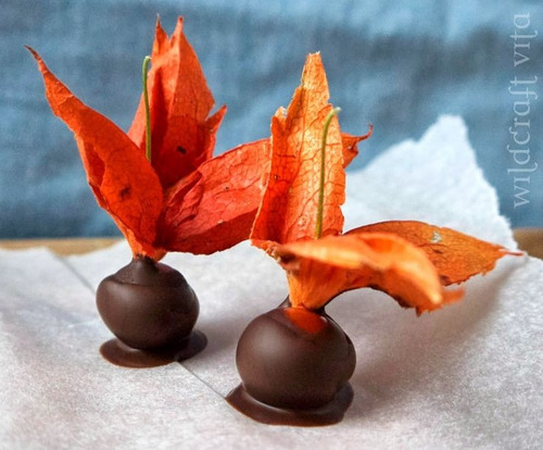 Imagem 6 de 10 de 20 Sementes Physalis Orange Lanterna Chinesa Fruta P/ Mudas