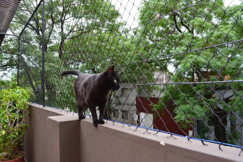 Imagen 1 de 5 de Redes Para Mascotas Felices