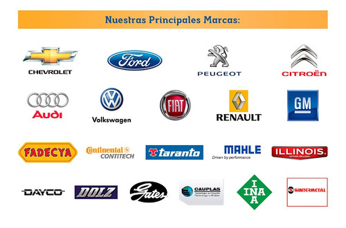 Imagen 2 de 3 de Correas Poly-v Elasticas Vw Suran 1.6 8v