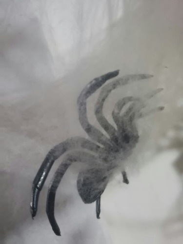 Tela Araña Con 2 Anañas Terror Jodas Obras Decoracion Chasco