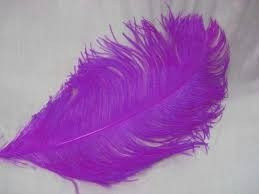 Plumas De Avestruz