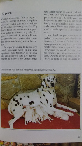 Manual El Dalmata. Perros De Raza