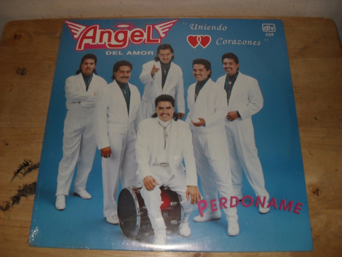 Angel Del Amor Lp Grupero Dlv