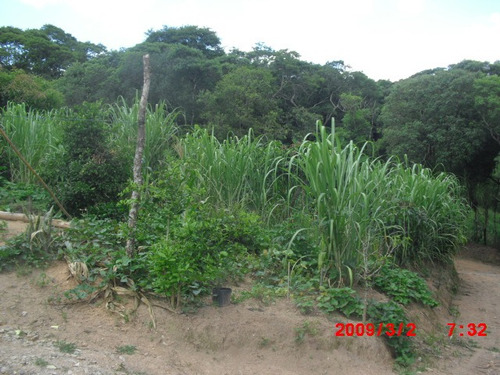 Imagem 6 de 15 de Chacara No Bairro Taquaras Prox. Cidade | 48216 - 48216