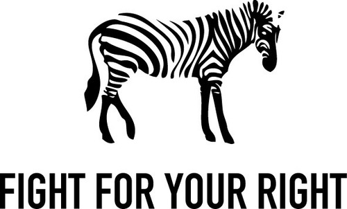 Imagen 3 de 3 de Fight For Your Right Pashmina Chalina Pañuelos Leopardo