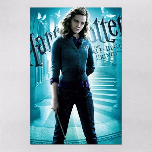 Poster 60x90cm Filmes Harry Potter 5 E A Ordem Da Fênix