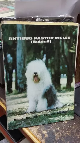 La Guía Completa Para Tu Bobtail (Antiguo Perro Pastor Inglés): La guía  indispensable para el dueño perfecto y un Bobtail (Antiguo Perro Pastor