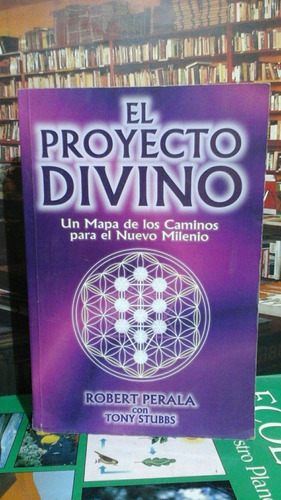 El Proyecto Divino,perala Y Stubbs Misterio, Enigmas.