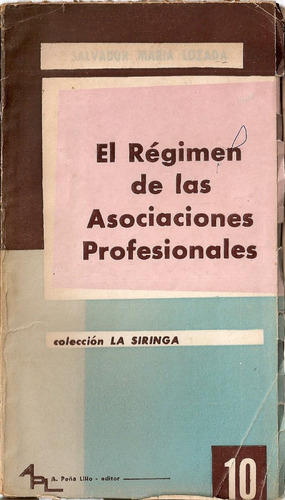 El Regimen De Las Asociaciones Profesionales - S. M. Lozada