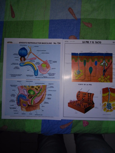 Materia Eduactivo Para Estudiantes Y Docentes(xdocena)