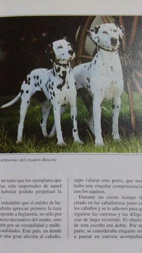 Manual El Dalmata. Perros De Raza
