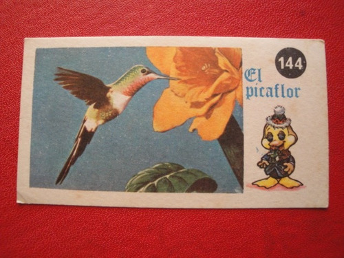Figuritas Petete Año 1976 El Picaflor Nº144