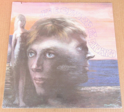 Lp Usa - Joey Covington - Fat Fandango (1973) *jefferson Air (Usado)