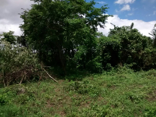 Terreno Para El Cultivo O Persona Le Guste La Vida De Campo