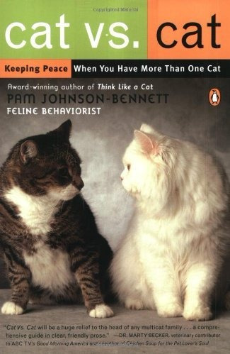 Gato Vs Gato: Mantener La Paz Cuando Se Tiene Más De Un Gato