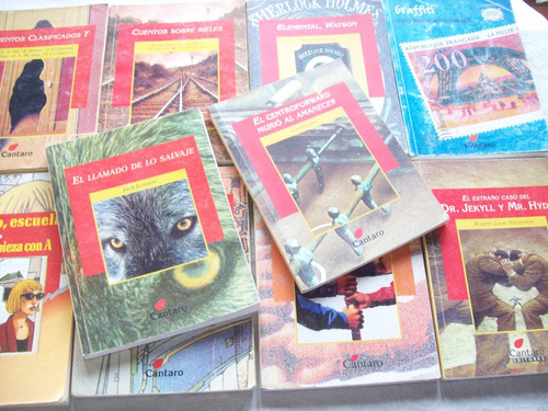 Lote De 15 Libros Cántaro - Colección Del Mirador